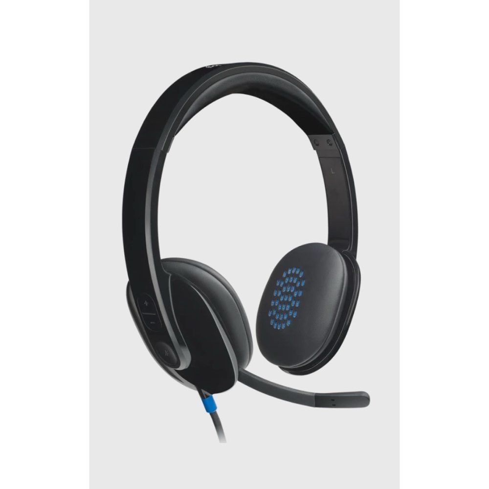 Logitech H540 USB Computer Headset- with minor flaw